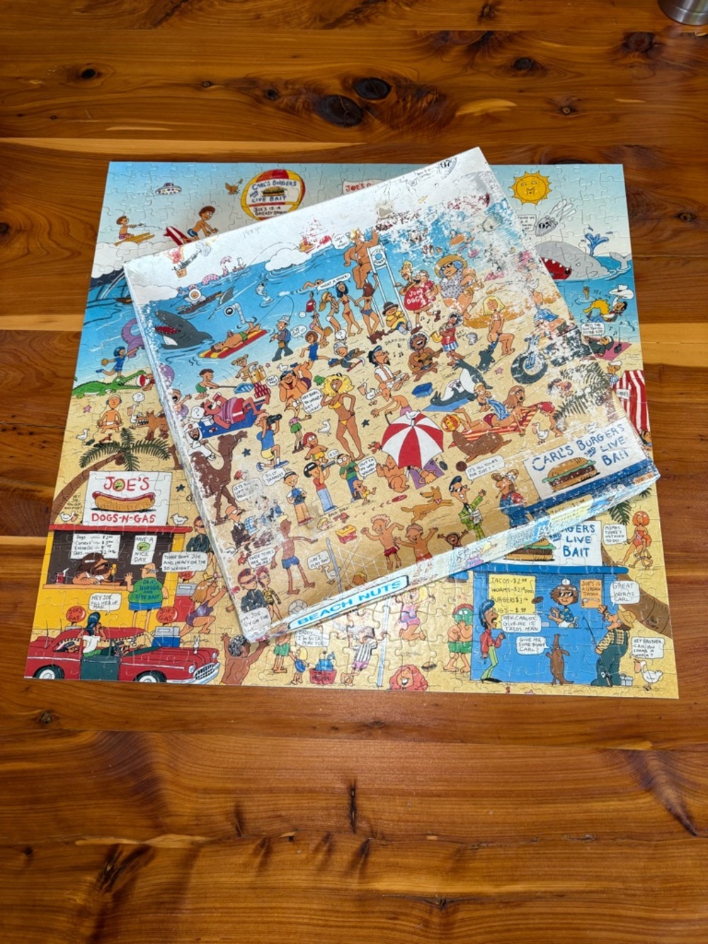 Vintage The Puzzle Collection Beach Nuts Jigsaw Puzzle Over 500 Pieces COMPLETE